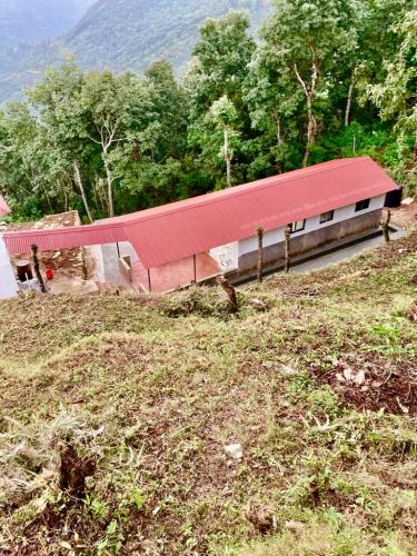 From the hillside above